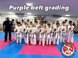 Image result for Zen Shin Seicho Do Adult Karate