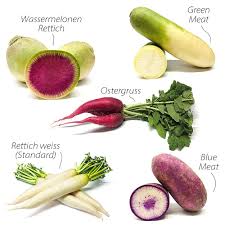 Image result for Rettich