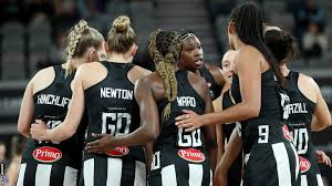 Image result for Ledbury Magpies Netball Club