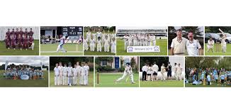 Image result for Swardeston Cricket Club