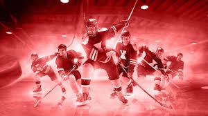 Image result for Cardiff Devils