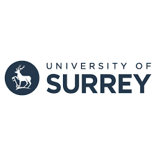 Image result for University Of Surrey