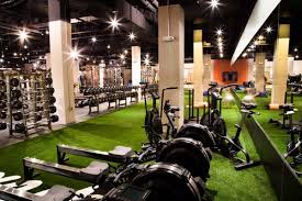 Image result for Lynx Gymnastics Club