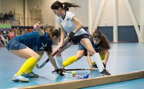 Image result for Indoor Hockey (Casual Use)