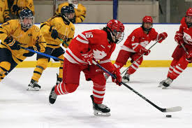 Image result for York University Street Hockey Club