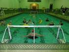 Intramural Inner Tube Water Polo | Rec Sports
