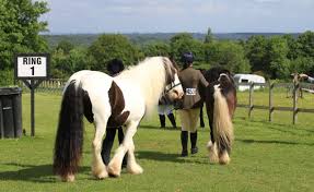 Image result for Bookham Riding Club