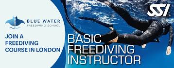 Image result for Blue Water Freediving School
