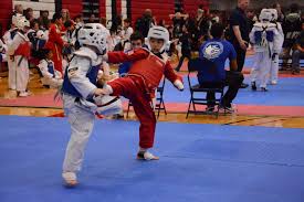 Image result for National Forest Taekwon-do