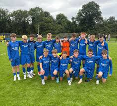 Image result for Ballinamallard United Football Club
