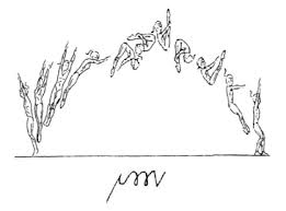 Image result for Arabian School Of Gymnastics