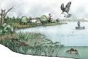 Ecosystems - Geography For Kids - By KidsGeo.