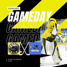 Image result for Widnes Ladies Hockey Club