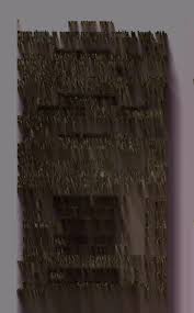 Attēlu rezultāti vaicājumam “Diderma effusum young”