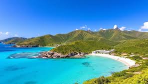 Image result for mountain top seashell