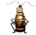 Texan after UAE: La Cucaracha