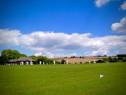Image result for Pulborough Cricket Club