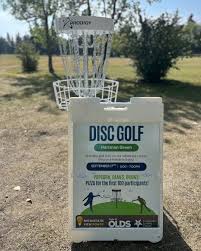 Image result for Ashville College Disc Golf Club