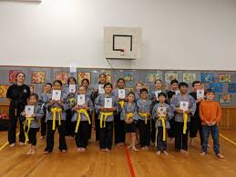 Image result for Shaolin Nam Pai Chuan Kung Fu - Manchester Martial Arts Centre