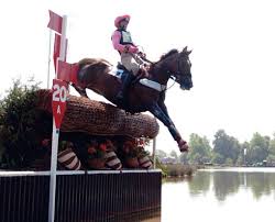 Image result for Britannia Badminton Club