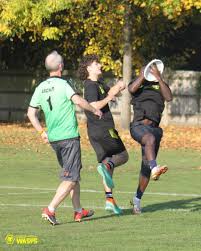 Image result for Braishfield Ultimate