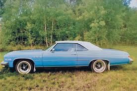 Image result for Horizon Blue 1975 Buick