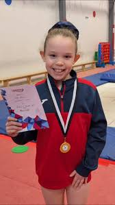 Image result for Edgbarrow Trampoline Club