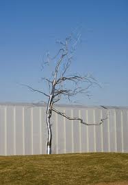 Image result for askew