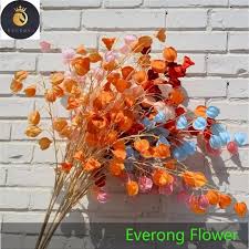 Attēlu rezultāti vaicājumam “Enkianthus chinensis flower”