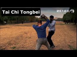 Image result for Southgate T`ai Tsung Chinese Boxing