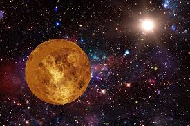 Image result for venus