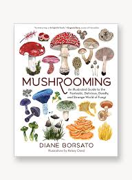 Attēlu rezultāti vaicājumam “fungi”