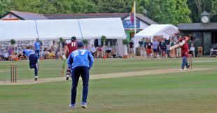 Image result for Woolpit Cricket Club