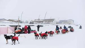 Image result for kabouter koos spee