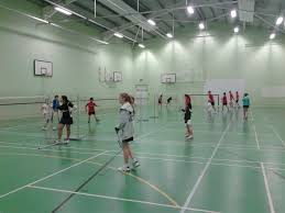 Image result for Falcons Badminton Club