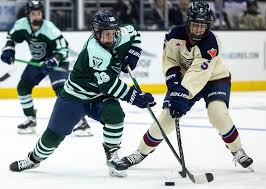 Image result for Fleet Hockey Club