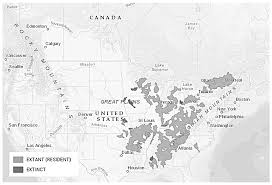 Image result for Moxostoma hubbsi