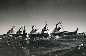 Image result for White Rose Canoe Club