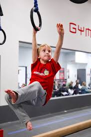 Image result for Blandford Forum Gymnastics & Kanga Club