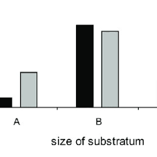 Attēlu rezultāti vaicājumam “Verrucaria hydrela”