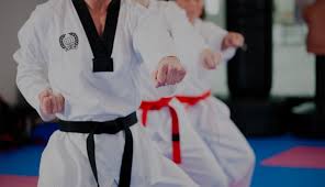 Image result for Bytomic Tae Kwon Do Chalfont St Peter
