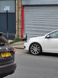 Image result for Batley Road Runners