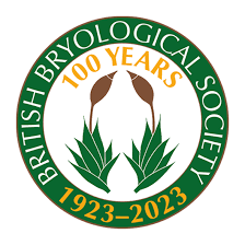 Attēlu rezultāti vaicājumam “Saelania glaucescens”