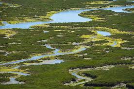 Image result for Slough