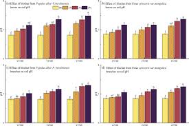 Attēlu rezultāti vaicājumam “Populus x berolinensis leaf”
