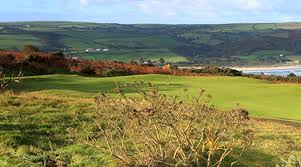 Image result for Cardigan Golf Club