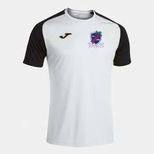 Image result for Westcott Cricket Club