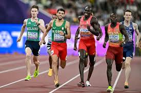 Image result for omagh harriers