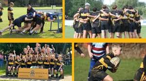 Image result for Dunstablians Rugby Union Football Club