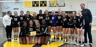 Image result for Ashford Tanners Handball Club